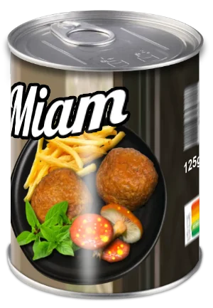 poulet frites en boite