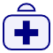 icon services